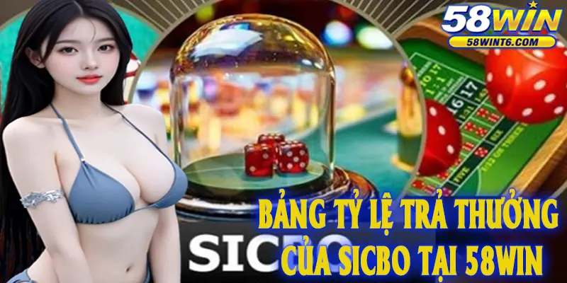 Bảng tỷ lệ trả thưởng của Sicbo tại 58win